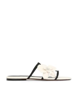 Sandály Orchid Slide v barvě Macadamia online